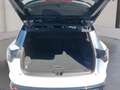 Renault Austral Techno E-Tech Full Hybrid 200 Weiß - thumbnail 11