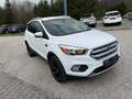 Ford Kuga Trend, AHK, Winter-Paket, P57a bis 01/27 Weiß - thumbnail 4