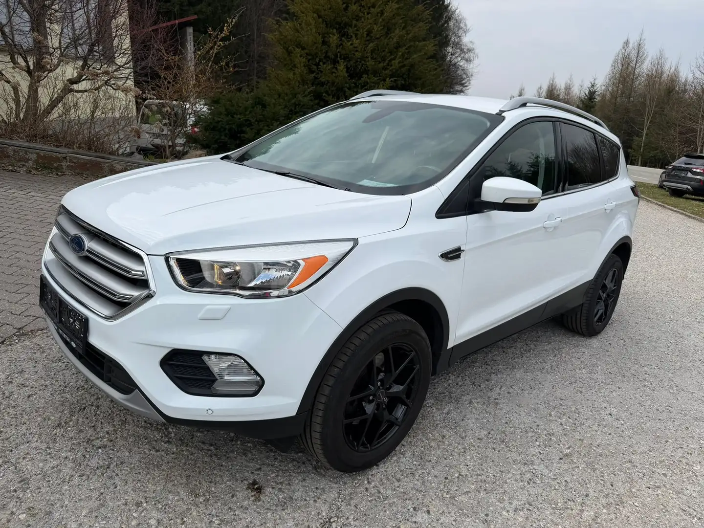 Ford Kuga Trend, AHK, Winter-Paket, P57a bis 01/27 Weiß - 1