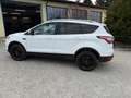 Ford Kuga Trend, AHK, Winter-Paket, P57a bis 01/27 Weiß - thumbnail 3