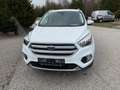 Ford Kuga Trend, AHK, Winter-Paket, P57a bis 01/27 Weiß - thumbnail 5