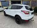 Ford Kuga Trend, AHK, Winter-Paket, P57a bis 01/27 Weiß - thumbnail 6