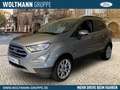 Ford EcoSport Titanium 1.0 EcoBoost EU6d, Navigation, Sitzheizun Zilver - thumbnail 1