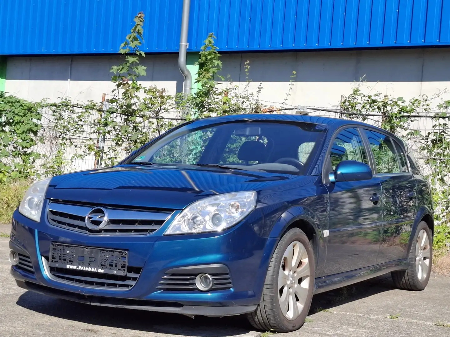 Opel Signum Edition Plus 1.8 Bleu - 1