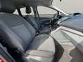 Ford C-Max C-MAX Champions Edition Naranja - thumbnail 18