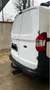 Ford Courier - thumbnail 3