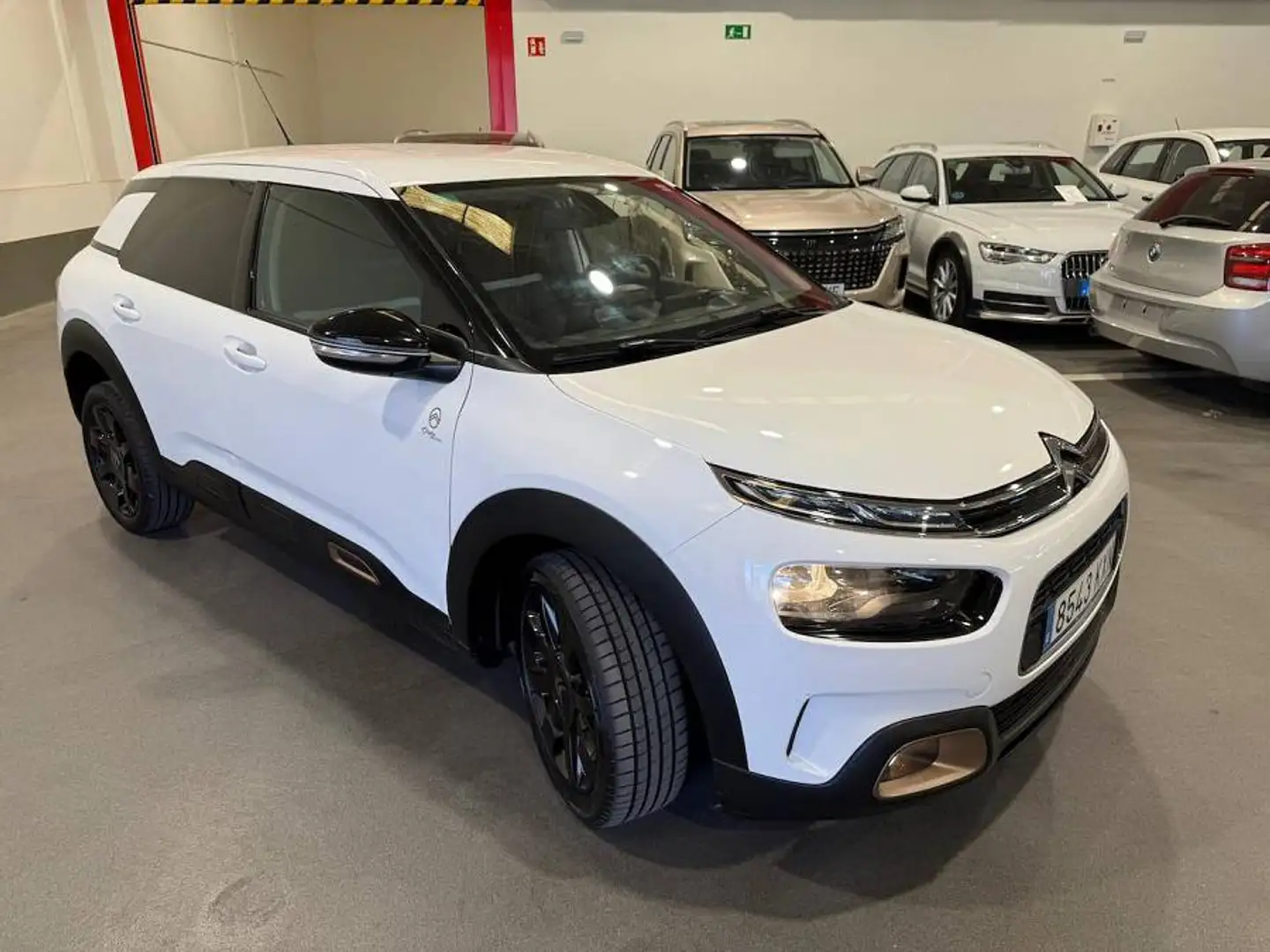 Citroen C4 Cactus 1.5BlueHDi S&S Business 100 Blanc - 1