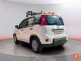 Fiat Panda Cross 1.0 Hybrid 51kw (70CV) Blanco - thumbnail 4