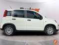 Fiat Panda Cross 1.0 Hybrid 51kw (70CV) Blanco - thumbnail 9