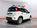 Fiat Panda Cross 1.0 Hybrid 51kw (70CV) Blanco - thumbnail 8