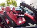 BMW 420 420dA Cabrio Negro - thumbnail 29