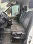Ford Transit Transit L2H2 350 Trail Blanc - thumbnail 9