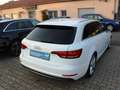 Audi A4 Av.2.0 TDI S-Line DSG Drive Select Keyless Blanc - thumbnail 4