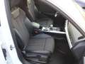 Audi A4 Av.2.0 TDI S-Line DSG Drive Select Keyless Bianco - thumbnail 11