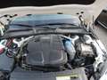 Audi A4 Av.2.0 TDI S-Line DSG Drive Select Keyless Bianco - thumbnail 13