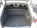 Audi A4 Av.2.0 TDI S-Line DSG Drive Select Keyless Bianco - thumbnail 12