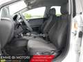 SEAT Leon 1.6 TDI 90CV CR DPF Reference uniproprietaro ok ne Wit - thumbnail 10