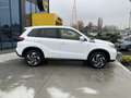 Suzuki Vitara 1.4 Hybrid 4WD Allgrip Top Bianco - thumbnail 5