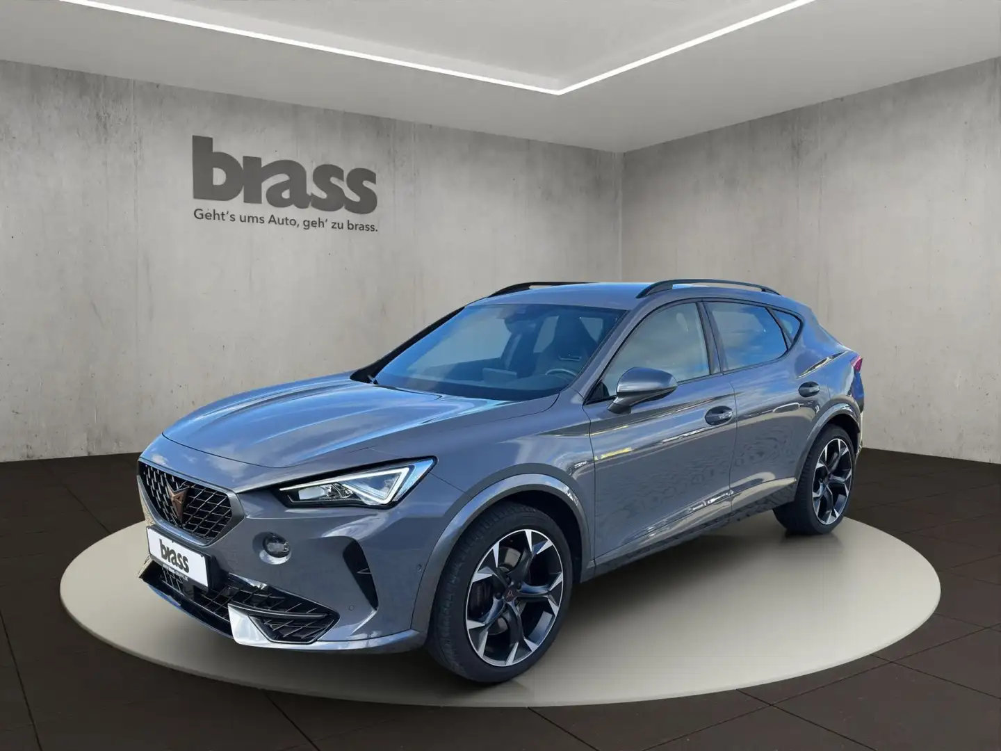 CUPRA Formentor VZ 2.0 TSI 4Drive Grau - 1