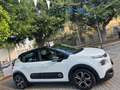 Citroen C3 C3 BlueHDi 100 S&S Shine Bianco - thumbnail 2