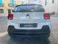 Citroen C3 C3 BlueHDi 100 S&S Shine Bianco - thumbnail 12