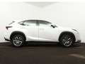Lexus NX 300h AWD Business Line Pro Limited | Parkeersensoren | Blanco - thumbnail 11