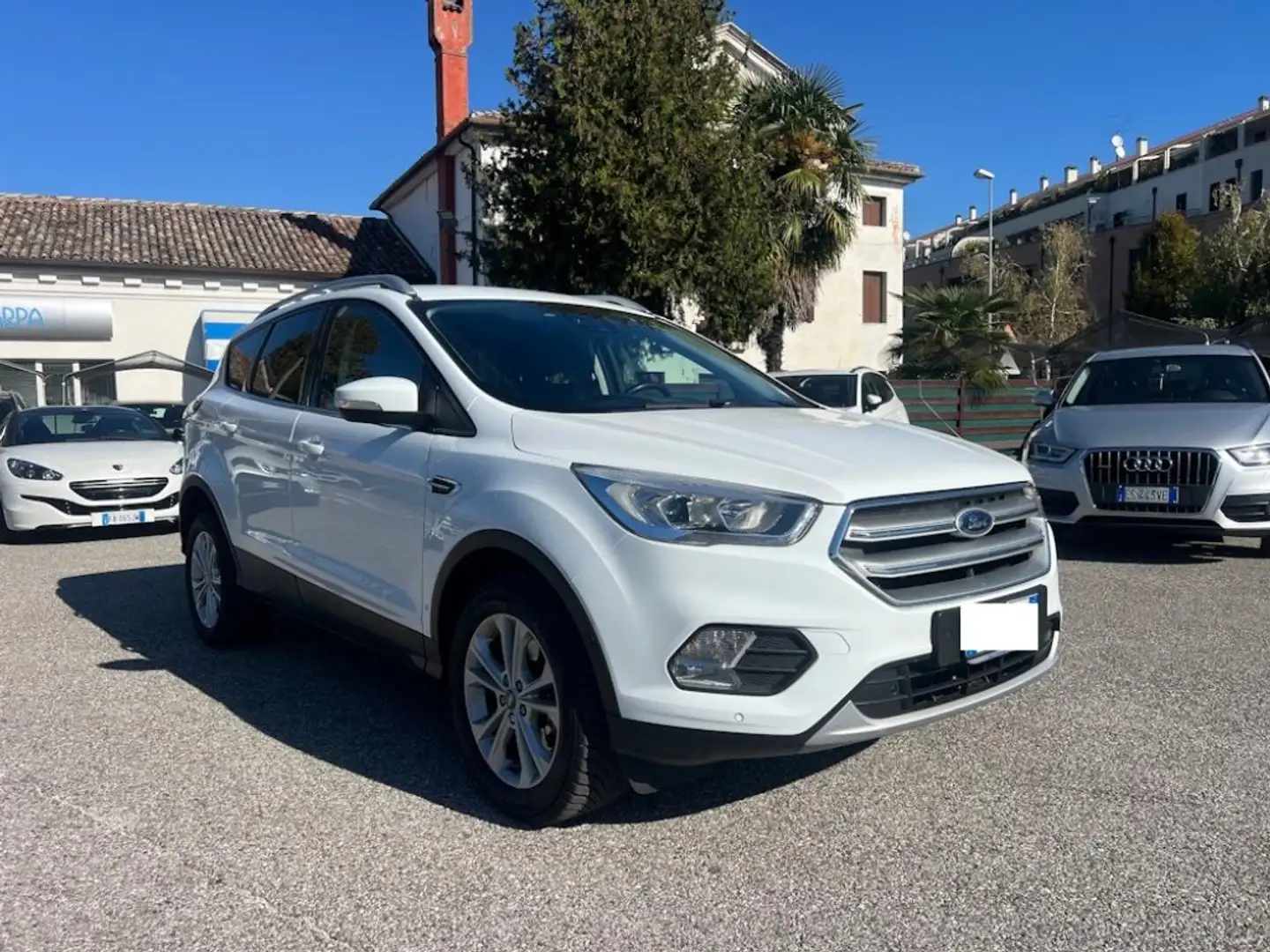 Ford Kuga 1.5 TDCI 120 CV S&S 2WD Titanium Business Weiß - 1