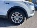 Ford Kuga 1.5 TDCI 120 CV S&S 2WD Titanium Business Blanc - thumbnail 3