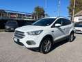 Ford Kuga 1.5 TDCI 120 CV S&S 2WD Titanium Business Blanc - thumbnail 9