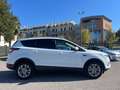 Ford Kuga 1.5 TDCI 120 CV S&S 2WD Titanium Business Blanc - thumbnail 4