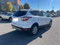 Ford Kuga 1.5 TDCI 120 CV S&S 2WD Titanium Business Blanc - thumbnail 5
