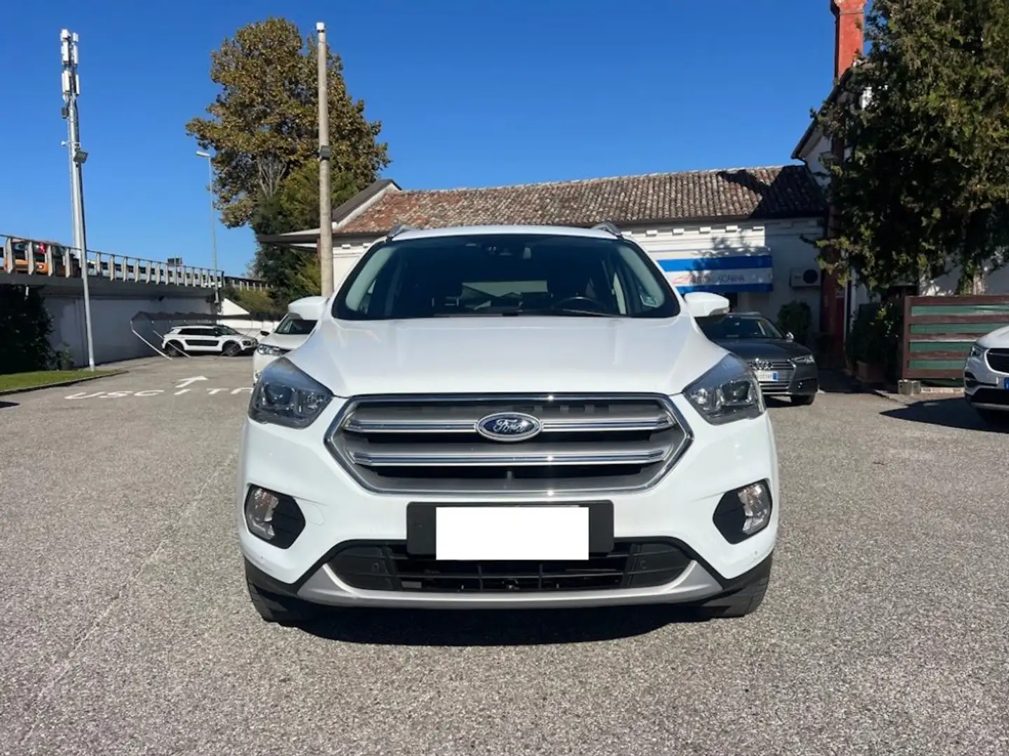 Ford Kuga 1.5 TDCI 120 CV S&S 2WD Titanium Business Weiß - 2