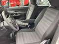 Opel Combo 1.5 DIESEL 100CV LIFE EDITION PLUS N1 AUTOCARRO Bianco - thumbnail 7