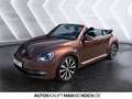 Volkswagen Beetle Cabriolet 1.4 TSI DSG KLIMA SHZ STANDHZ Bronze - thumbnail 21