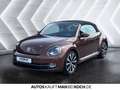 Volkswagen Beetle Cabriolet 1.4 TSI DSG KLIMA SHZ STANDHZ Bronze - thumbnail 2