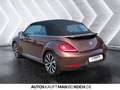 Volkswagen Beetle Cabriolet 1.4 TSI DSG KLIMA SHZ STANDHZ Bronze - thumbnail 3