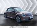 Volkswagen Beetle Cabriolet 1.4 TSI DSG KLIMA SHZ STANDHZ Bronze - thumbnail 5