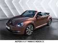 Volkswagen Beetle Cabriolet 1.4 TSI DSG KLIMA SHZ STANDHZ Bronze - thumbnail 17