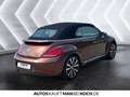 Volkswagen Beetle Cabriolet 1.4 TSI DSG KLIMA SHZ STANDHZ Bronze - thumbnail 5