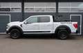 Ford F 150 5.0 V8/4x4/AHK/SHZ/APPLE/KAMERA/TOTW/SPUR Blanc - thumbnail 4