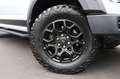 Ford F 150 5.0 V8/4x4/AHK/SHZ/APPLE/KAMERA/TOTW/SPUR Blanc - thumbnail 14