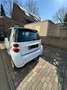 smart forTwo COUPE MHD - thumbnail 4