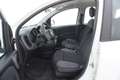 Fiat Panda 4x4 1.3 Diesel 95CV Weiß - thumbnail 10
