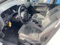 Volkswagen Golf 5P.  2.0 TDI HIGHLINE 150cv - 24 MESI GARANZIA Bianco - thumbnail 9