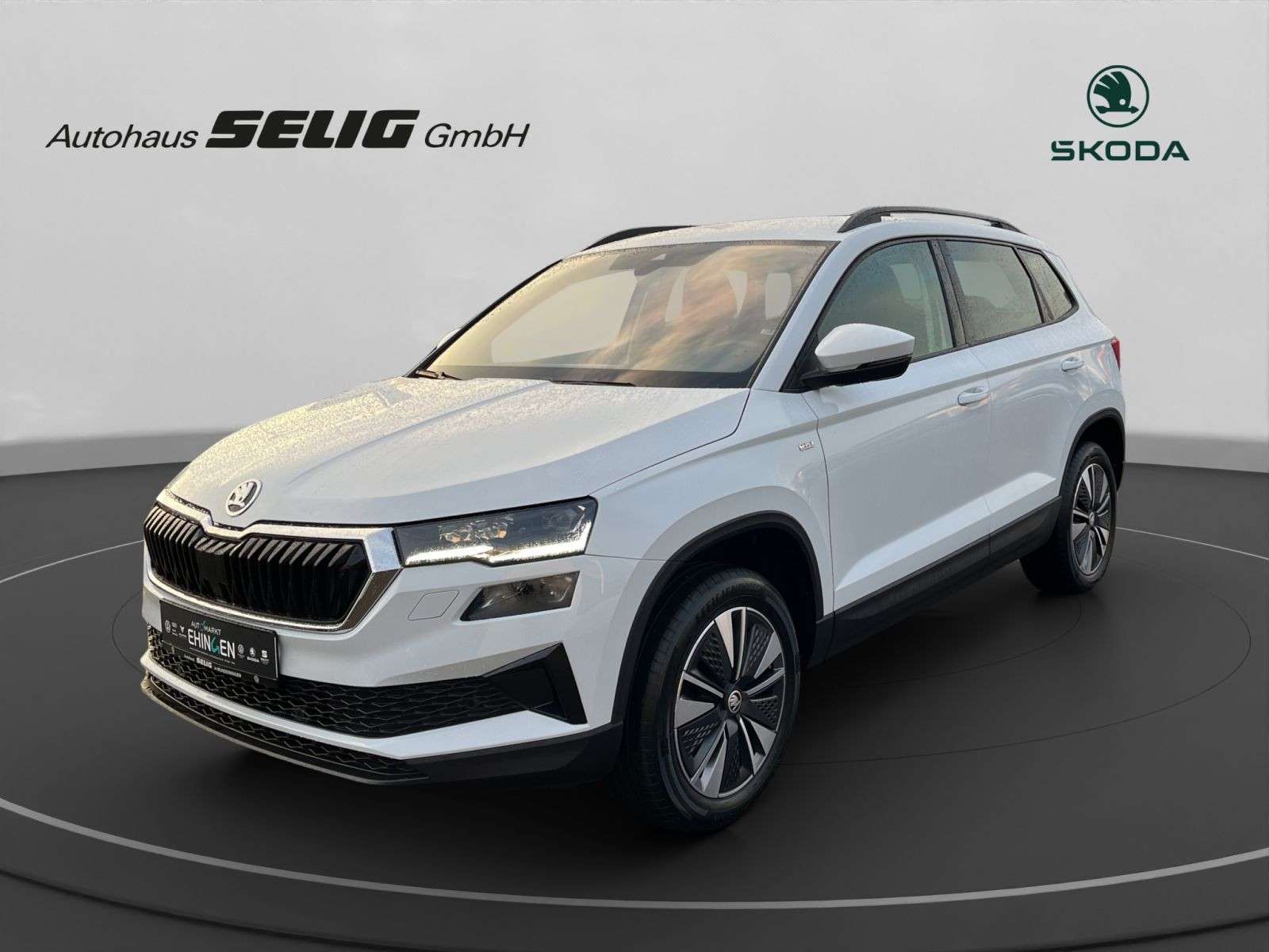 Skoda Karoq occasion