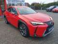 Lexus UX 250h (E-FOUR) Luxury Line Rot - thumbnail 4