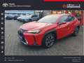 Lexus UX 250h (E-FOUR) Luxury Line Rot - thumbnail 1
