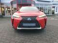 Lexus UX 250h (E-FOUR) Luxury Line Rot - thumbnail 2
