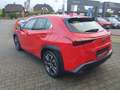 Lexus UX 250h (E-FOUR) Luxury Line Rot - thumbnail 3