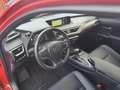 Lexus UX 250h (E-FOUR) Luxury Line Rot - thumbnail 9